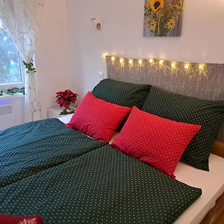 Apartment Borbala Vendeghaz *