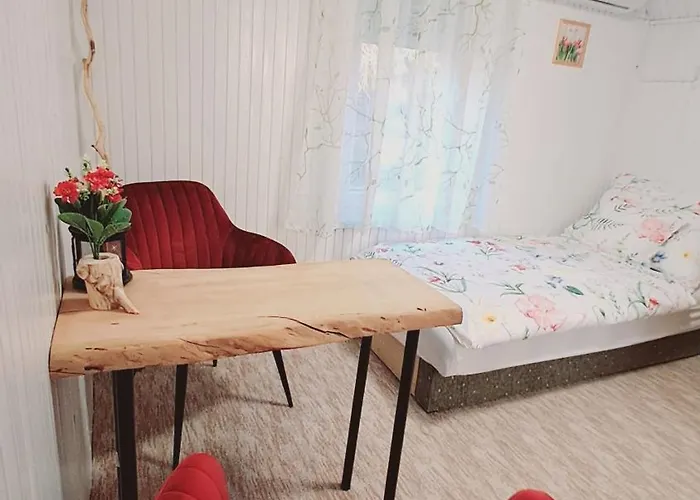 Borbala Vendeghaz 이걸