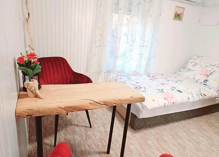 Borbala Vendeghaz 아파트 *